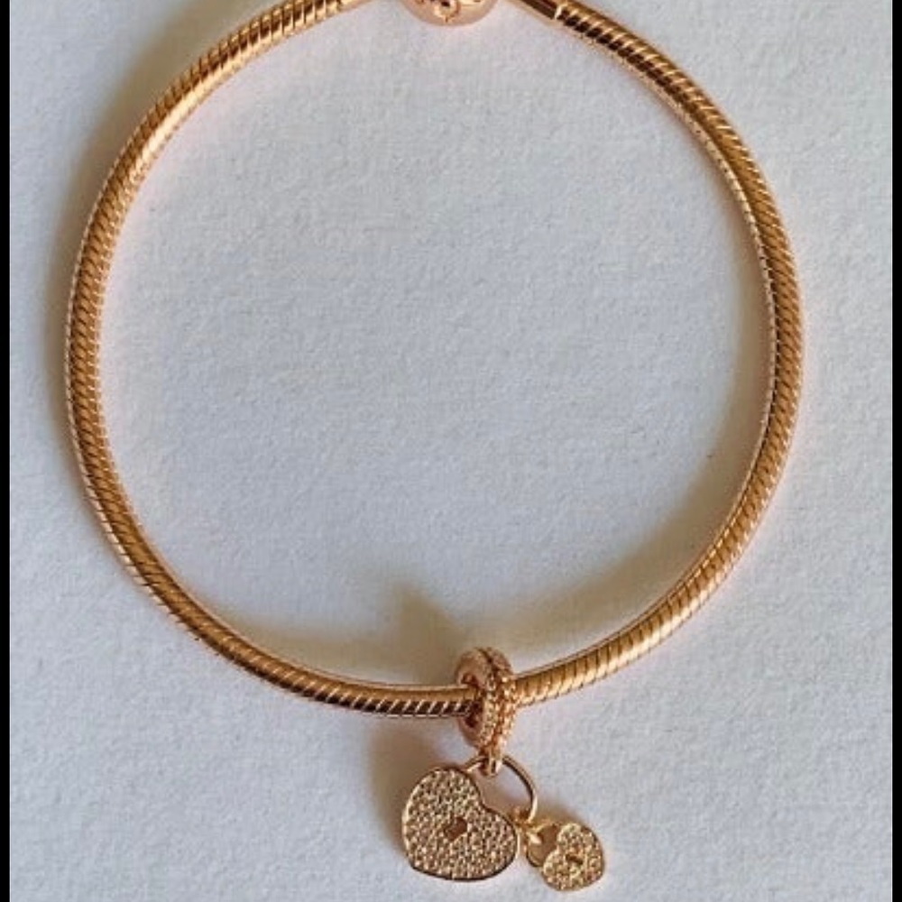 Pandora bracelet with the charm